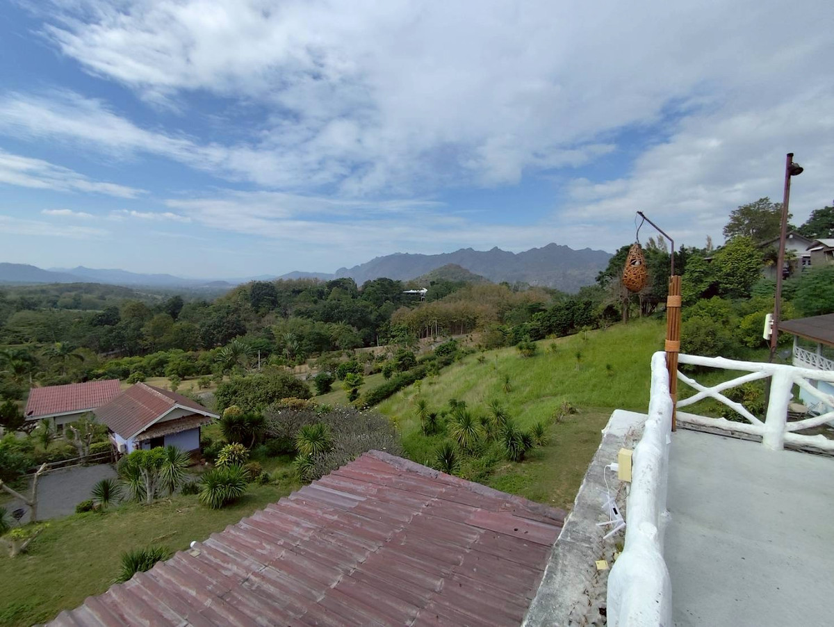 ขายที่ดินโคราช นครราชสีมา : ขายที่ดินเขาใหญ่ อำเภอปากช่อง จังหวัดนครราชสีมา 