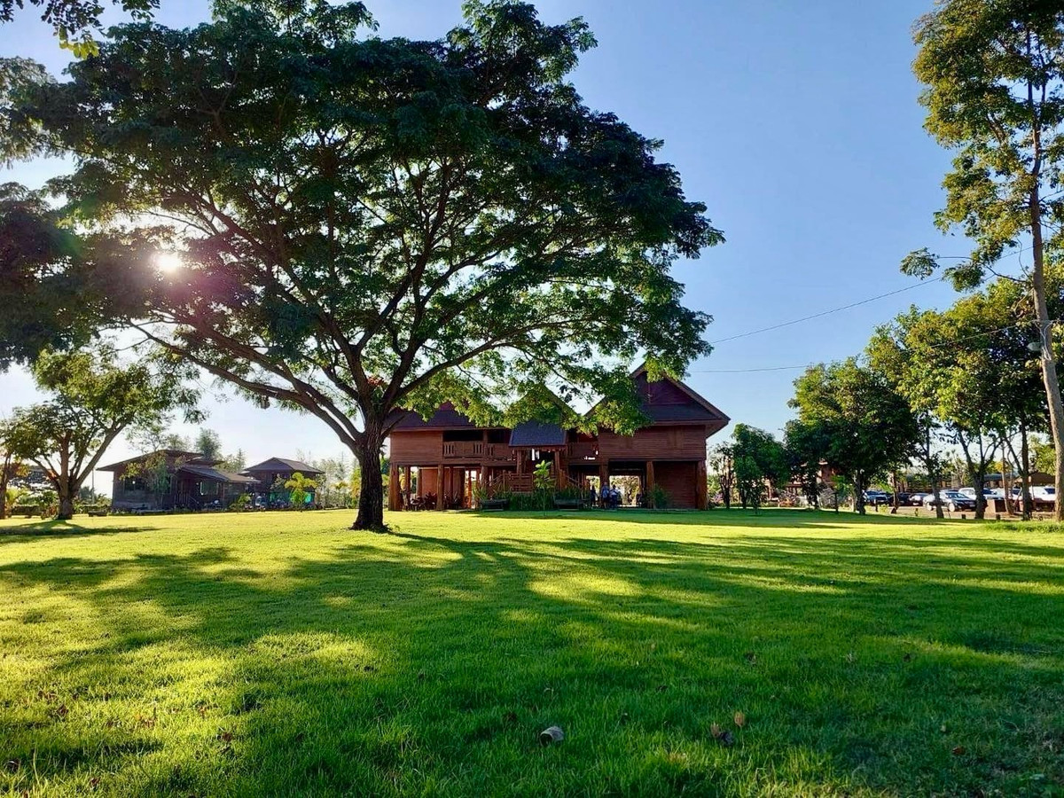 For SaleHousePhrae : Old teak houses for sale, large and small. Complete with train carriages On land in a prime location, Phrae Province, over 8 rai, next to the road along the irrigation canal, mountain view, cool and shady atmosphere mixed with the scent of nature in every