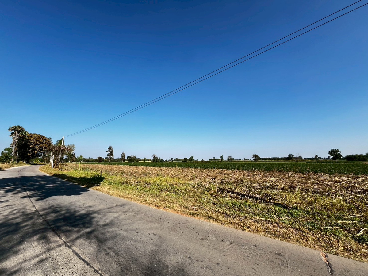 For SaleLandKhon Kaen : Large Land for Sale Near Singha Park Golf Course, Khon Kaen 