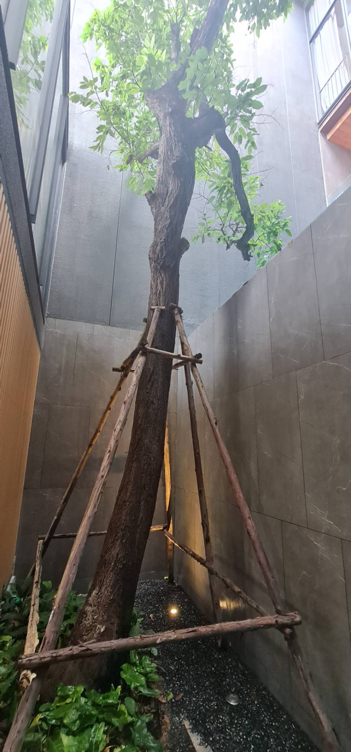 HouseVipawadee, Don Mueang, Lak Si : 💥 Price Reduced from 62M → 55M THB 🏡 JIA Pool Residence — Private Pool Villas with Private Lift