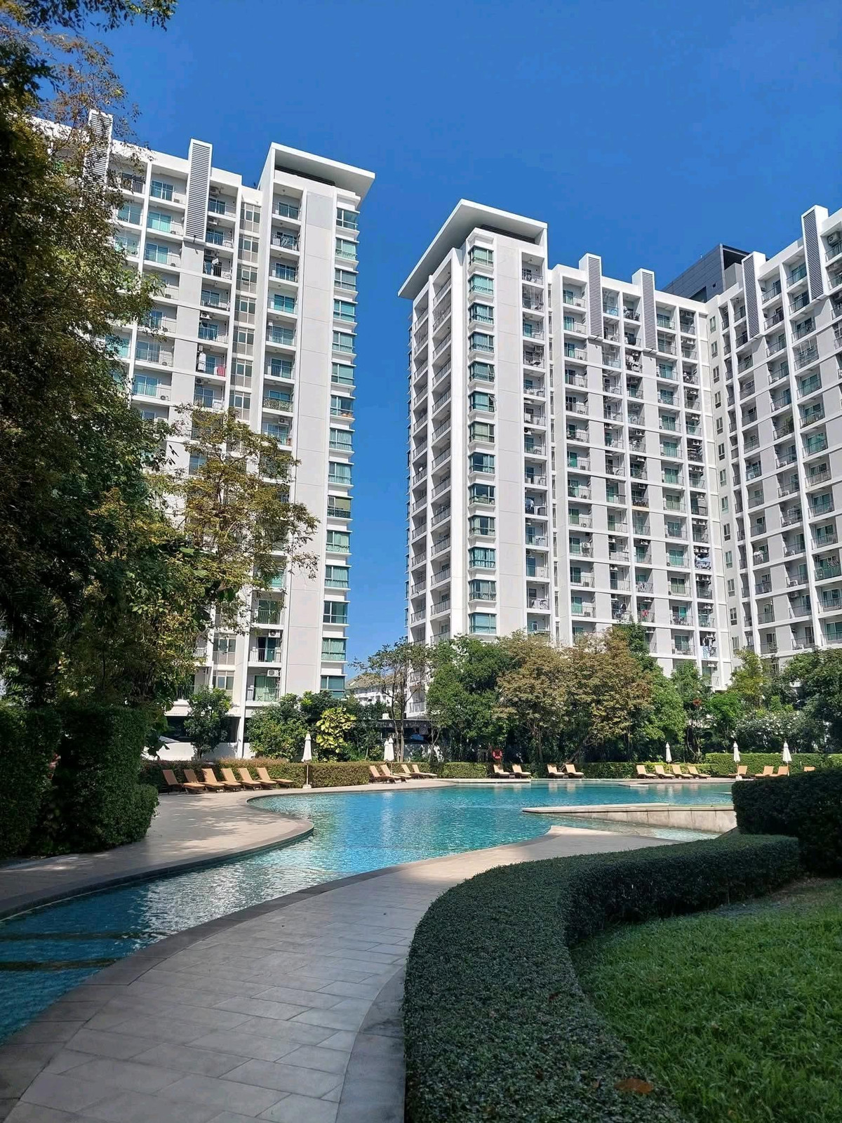 CondoBangna, Bearing, Lasalle : For sale/rent