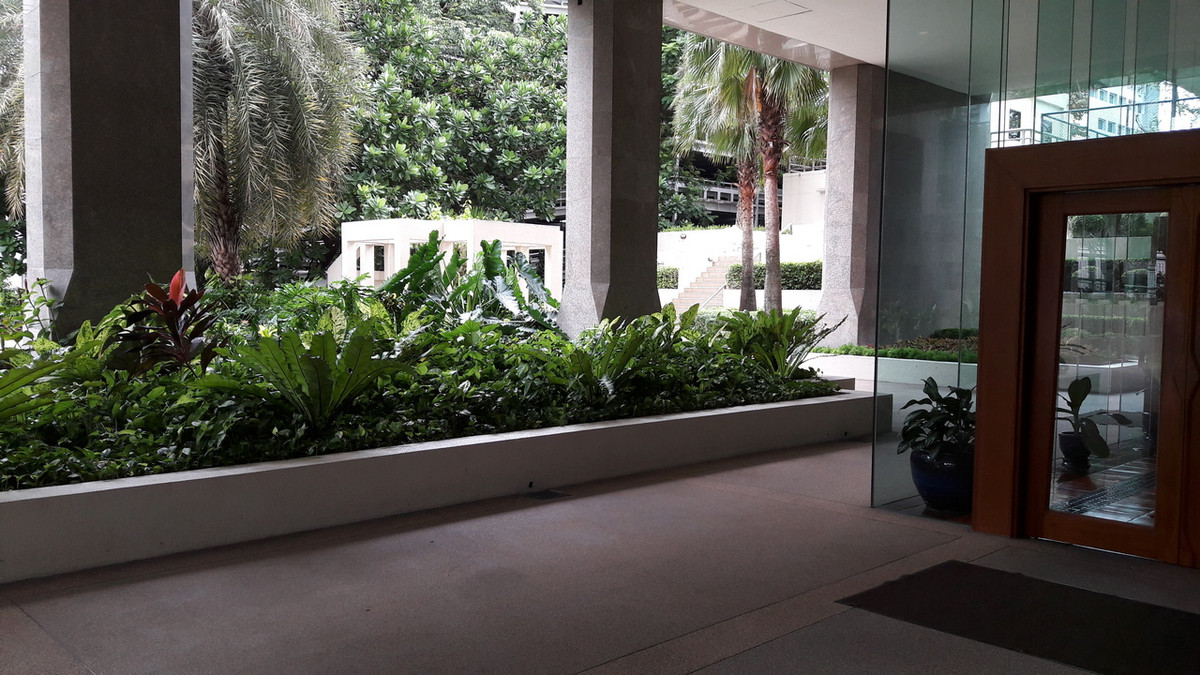 ขายคอนโดวิทยุ ชิดลม หลังสวน : Somkid Gardens Condo , Contact 062-496-6454