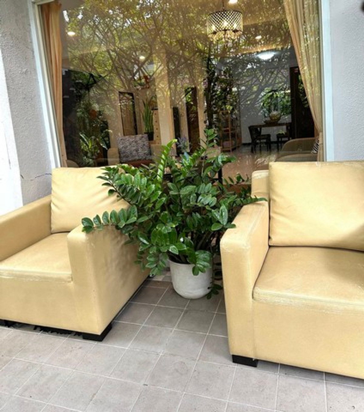 ให้เช่าบ้านมีนบุรี-ร่มเกล้า : HR3179ให้เช่าบ้านเดี่ยวสไตล์ Tropical — สัมมากร รามคำแหง 112บรรยากาศสงบ โปร่งโล่ง รายล้อมด้วยพื้นที่สีเขียว เหมาะสำหรับครอบครัวและการพักผ่อนระยะยาว