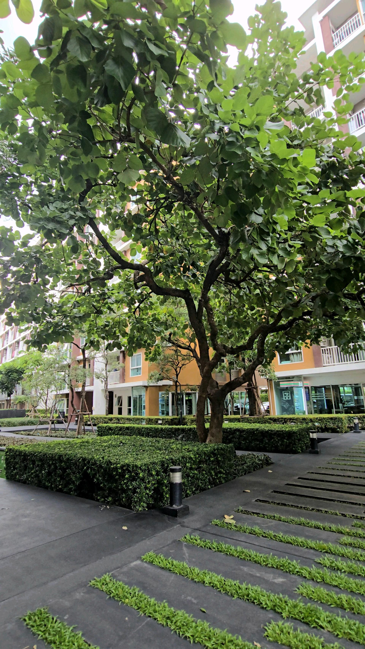 ขายคอนโดเลียบทางด่วนรามอินทรา : (( ขายด่วน )) วีอนโด เอกมัย-รามอินทรา ติดตลาดเลียบด่วนรามอินทรา และ MRT วัชระพล 700 เมตร