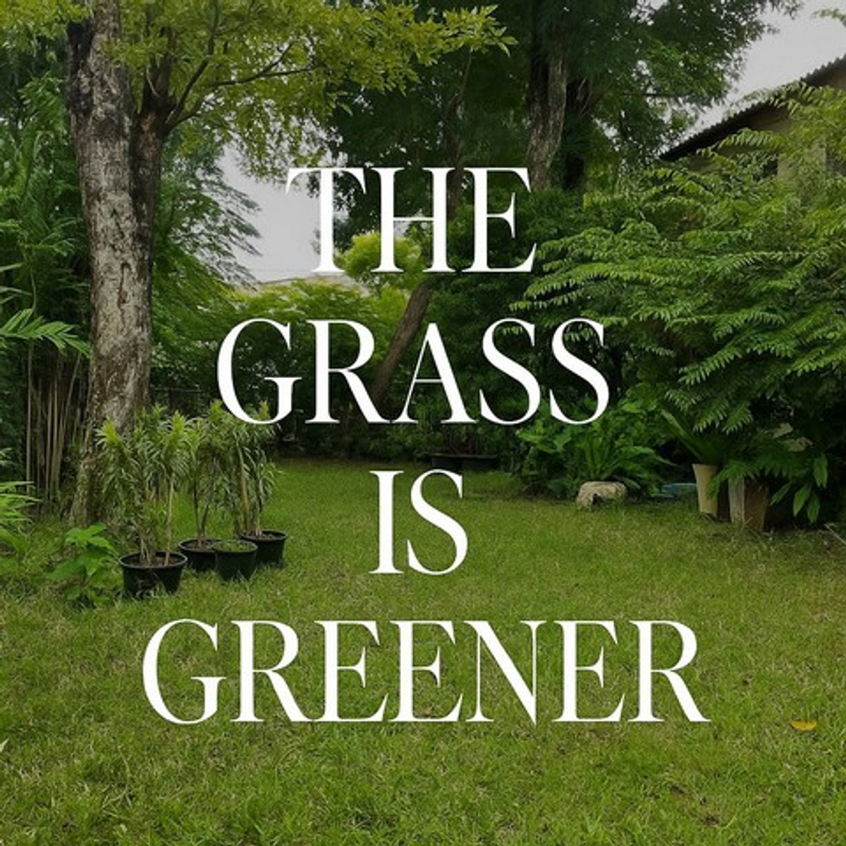 ให้เช่าบ้านมีนบุรี-ร่มเกล้า : HR3179ให้เช่าบ้านเดี่ยวสไตล์ Tropical — สัมมากร รามคำแหง 112บรรยากาศสงบ โปร่งโล่ง รายล้อมด้วยพื้นที่สีเขียว เหมาะสำหรับครอบครัวและการพักผ่อนระยะยาว