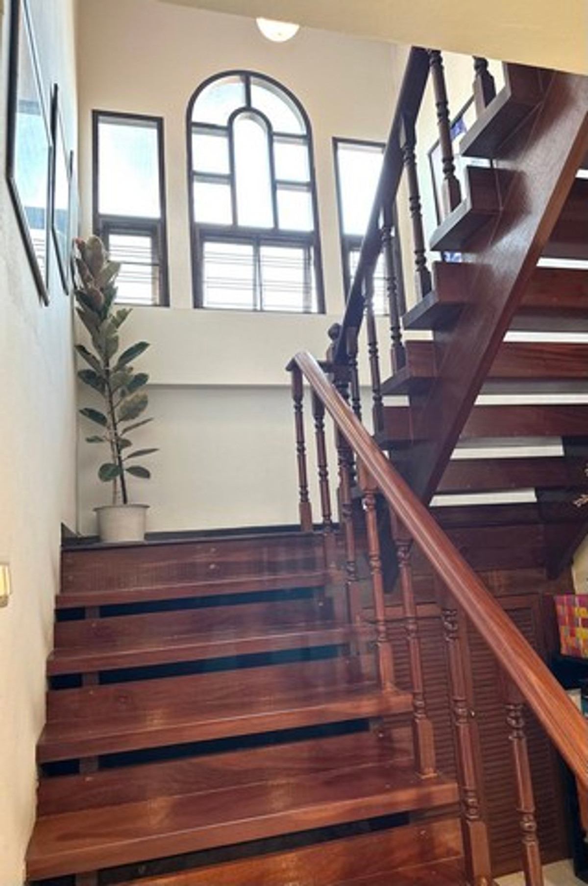 ให้เช่าบ้านมีนบุรี-ร่มเกล้า : HR3179ให้เช่าบ้านเดี่ยวสไตล์ Tropical — สัมมากร รามคำแหง 112บรรยากาศสงบ โปร่งโล่ง รายล้อมด้วยพื้นที่สีเขียว เหมาะสำหรับครอบครัวและการพักผ่อนระยะยาว