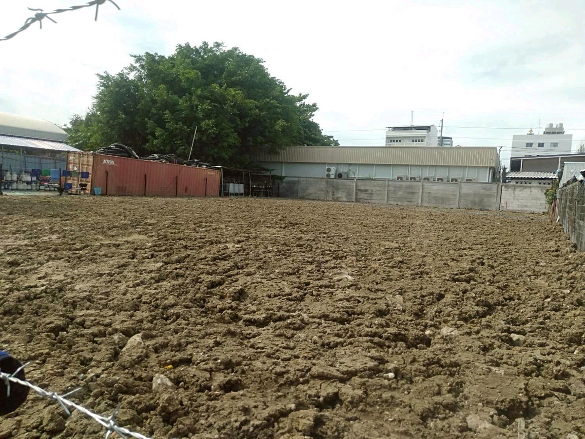 For SaleLandBangna, Bearing, Lasalle : 🌿 Beautiful land, Soi Lasalle 48, size 228 sq m, quiet alley, near BTS Sri Lasalle 1.3 km., near schools and hospitals, water and electricity ready 📞 Luk Jeab 065-536-5165 
 #La Salle land #Sukhumvit land #Land near BTS