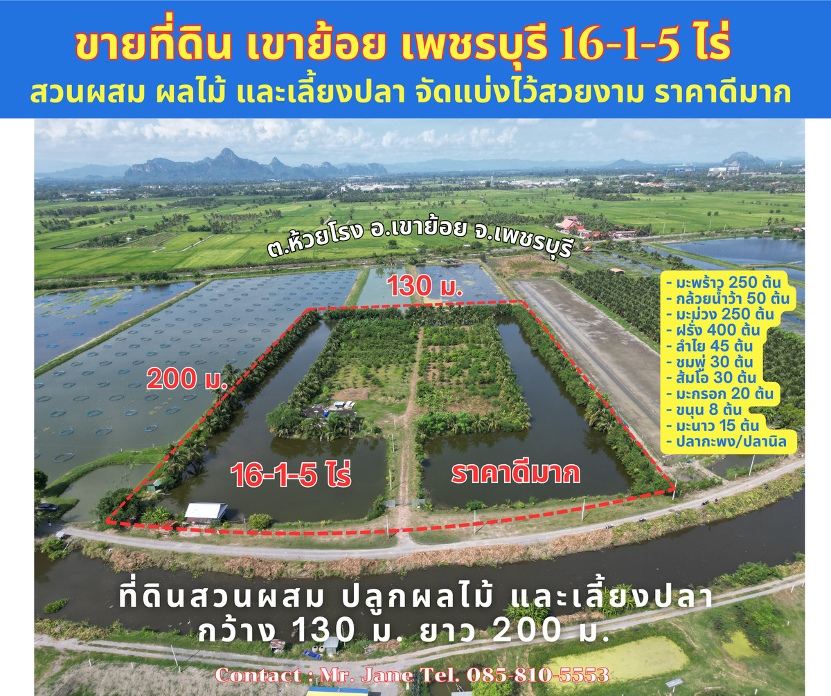 For SaleLandCha-am Phetchaburi : Land for sale, beautiful square shape, mixed fruit orchard and fish farming, very good view, Huai Rong Subdistrict, Khao Yoi District, Phetchaburi, 16-1-5 rai, very good price, selling for only 390,000 baht per rai (or 975 baht per square wa). Total selli