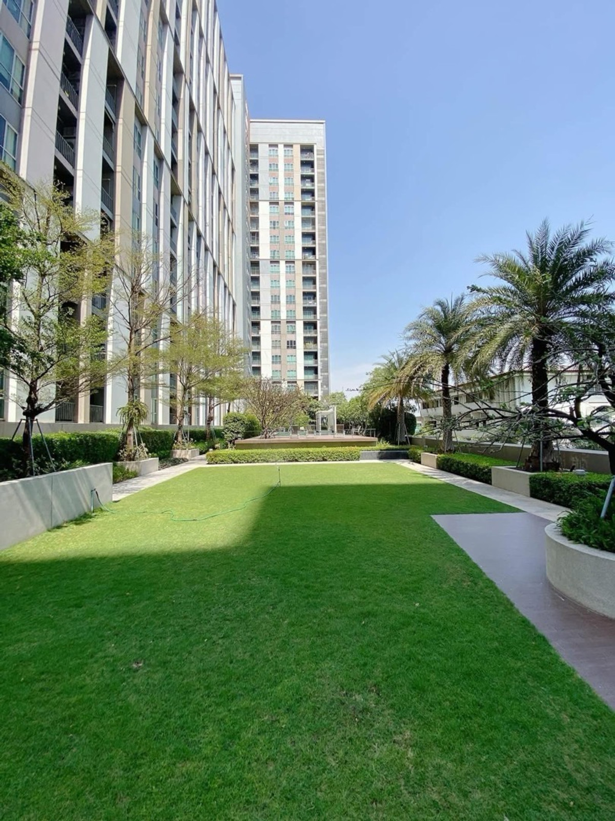 ให้เช่าคอนโดแจ้งวัฒนะ เมืองทอง : 📍 โครงการ : The Key Chaengwattana🚝 ใกล้ : MRT สถานีศรีรัช , ทางด่วน , เมืองทองธานี💵 ราคาเช่า : 10,000 บาท / เดือน