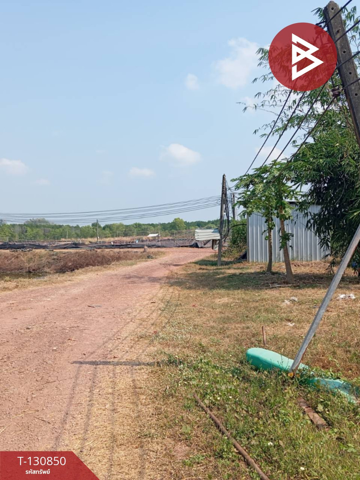 For SaleLandChanthaburi : Shrimp pond land for sale, area 52 rai 1 ngan 13 sq m, Na Yai Am, Chanthaburi.