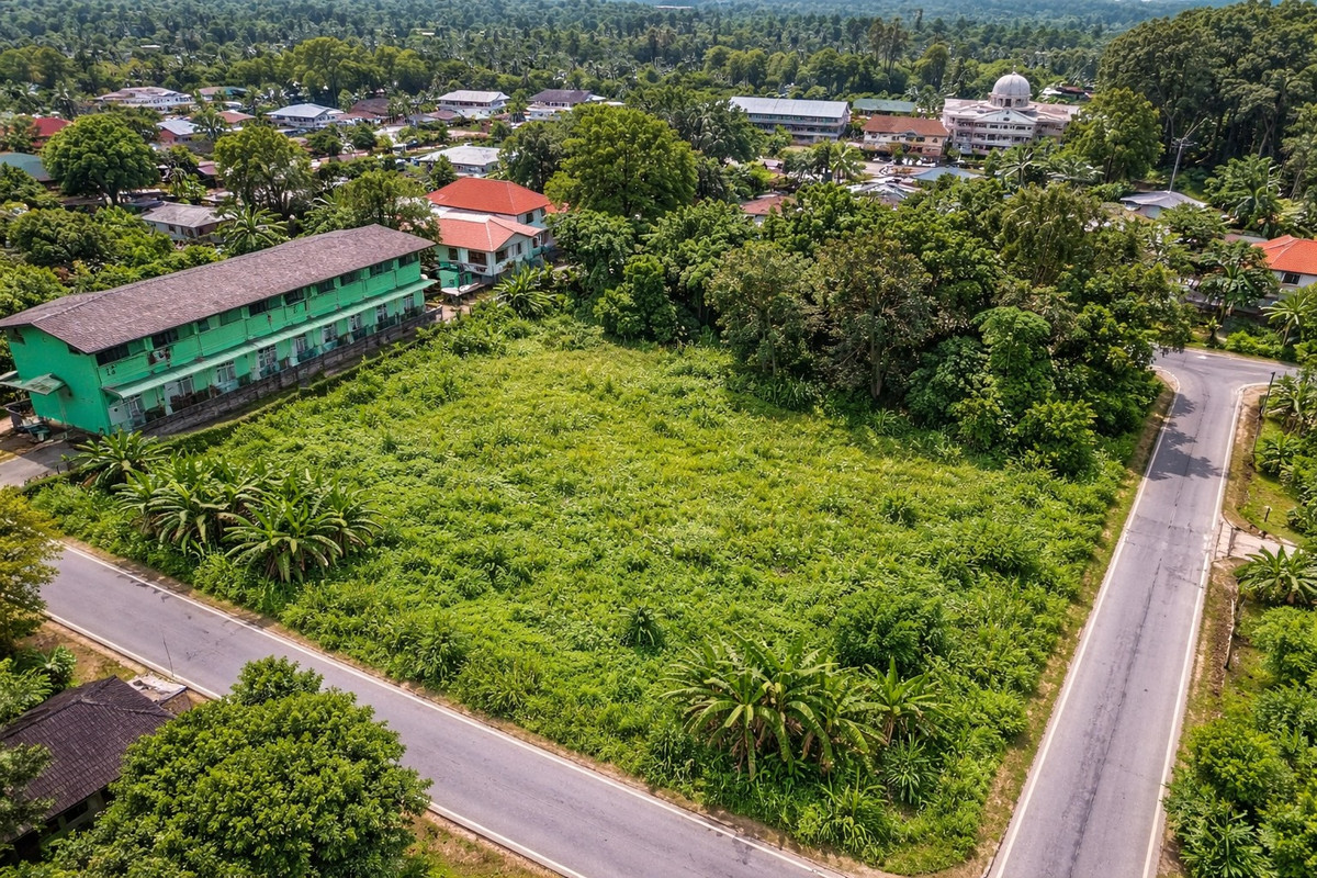ขายที่ดินนครศรีธรรมราช : ขายที่ดินทำเลทอง หน้า ม.ราชภัฏ นครศรีธรรมราช  ทำเลศักยภาพสูง รายล้อมด้วยสิ่งอำนวยความสะดวก