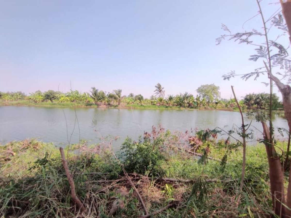 For RentLandLadkrabang, Suwannaphum Airport : Land for rent (wetland), 1 rai, 2 ngan, 64 sq m, Thap Yao Road, Thap Yao Subdistrict, Lat Krabang District, Bangkok.