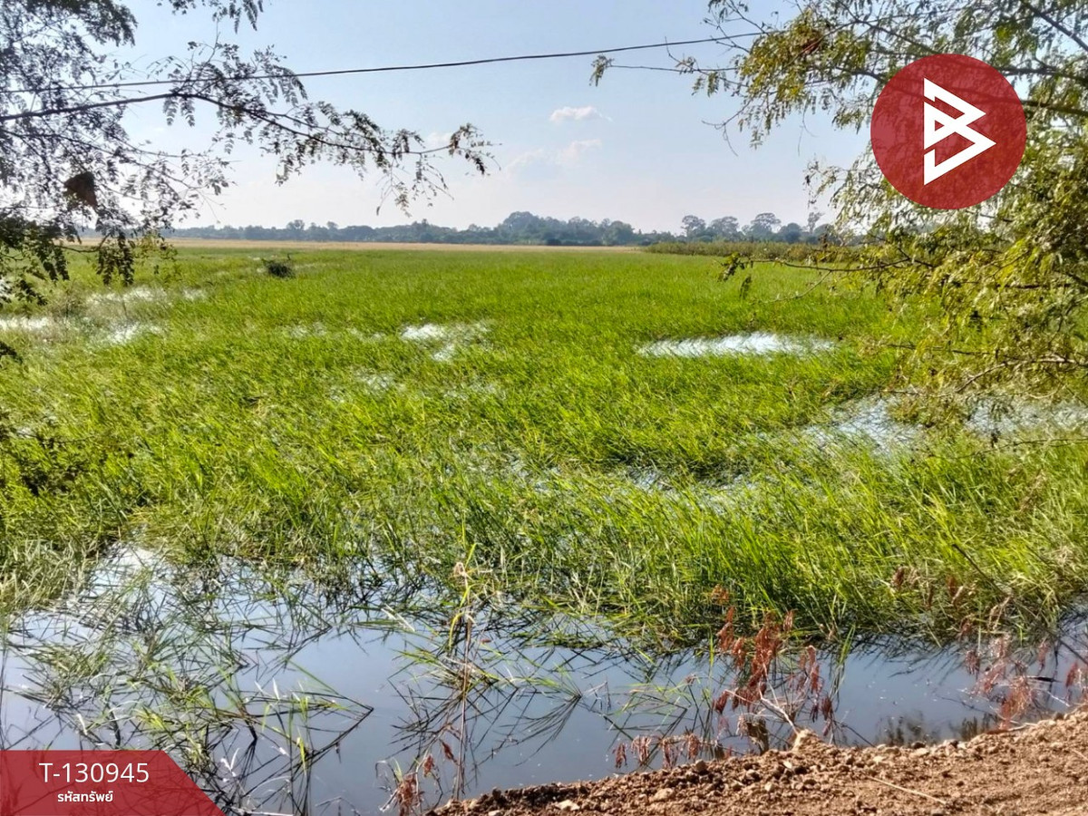 For SaleLandAyutthaya : Land for sale, area 5 rai 28 square wa, Ban Khwang Subdistrict, Maharat District, Phra Nakhon Si Ayutthaya.