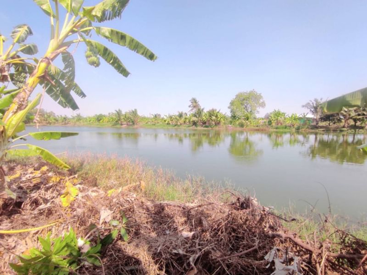 For RentLandLadkrabang, Suwannaphum Airport : Land for rent (wetland), 1 rai, 2 ngan, 64 sq m, Thap Yao Road, Thap Yao Subdistrict, Lat Krabang District, Bangkok.