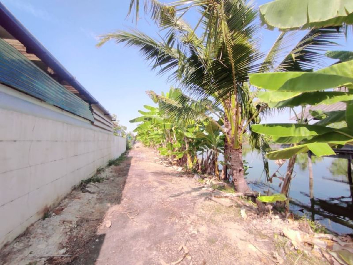 For RentLandLadkrabang, Suwannaphum Airport : Land for rent (wetland), 1 rai, 2 ngan, 64 sq m, Thap Yao Road, Thap Yao Subdistrict, Lat Krabang District, Bangkok.