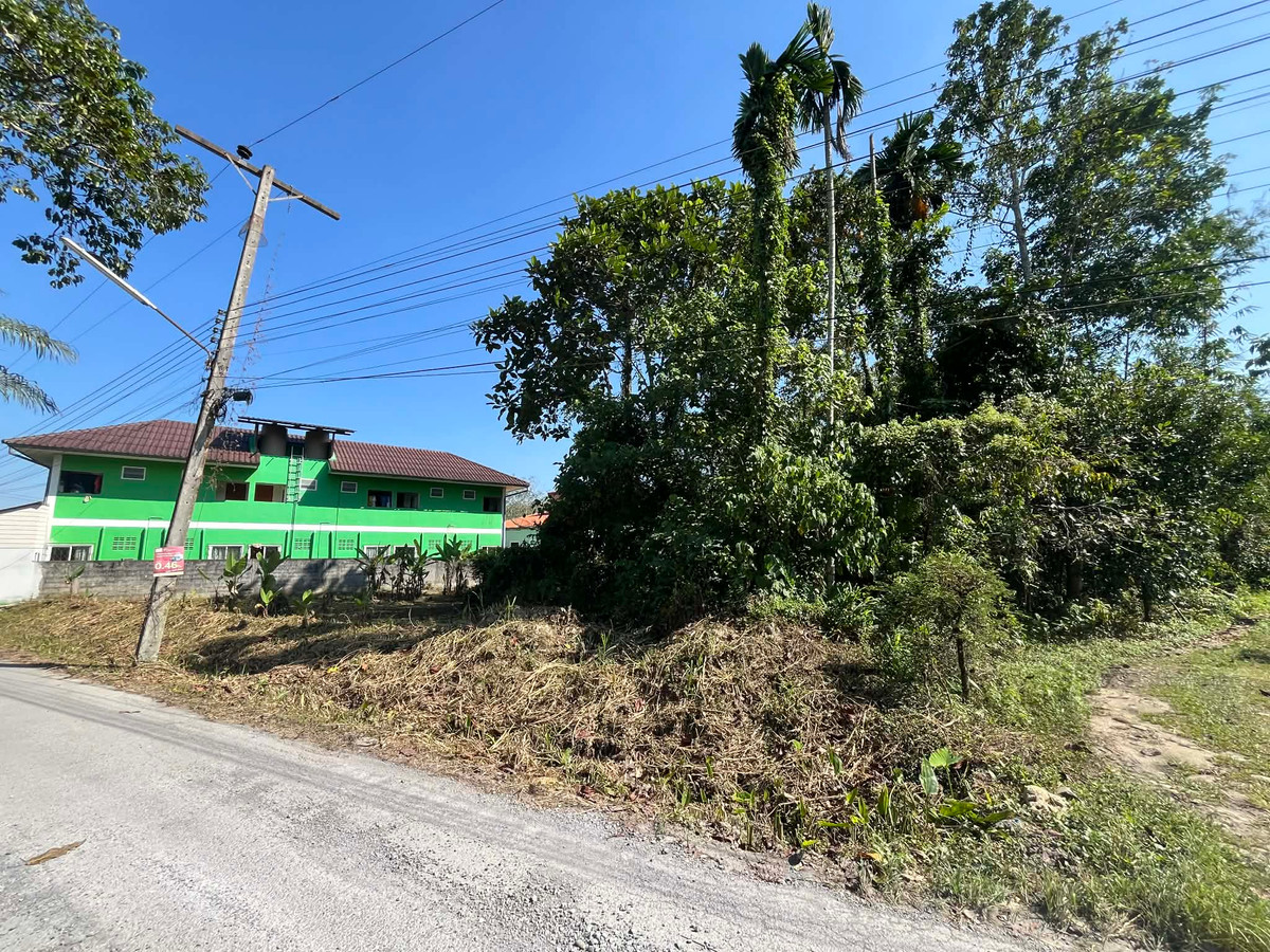 ขายที่ดินนครศรีธรรมราช : ขายที่ดินทำเลทอง หน้า ม.ราชภัฏ นครศรีธรรมราช  ทำเลศักยภาพสูง รายล้อมด้วยสิ่งอำนวยความสะดวก