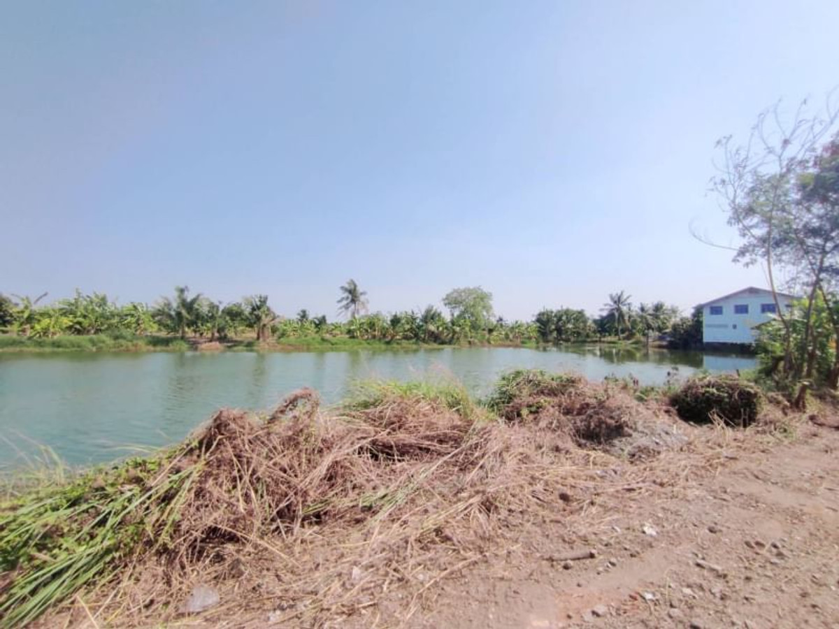 For RentLandLadkrabang, Suwannaphum Airport : Land for rent (wetland), 1 rai, 2 ngan, 64 sq m, Thap Yao Road, Thap Yao Subdistrict, Lat Krabang District, Bangkok.