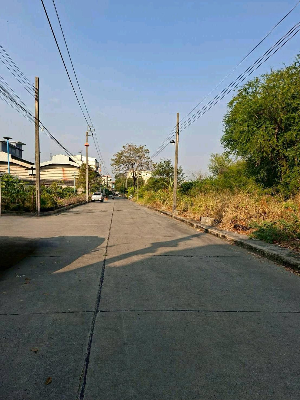 ขายที่ดินสมุทรปราการ สำโรง : 🔥 ขายที่ดินศักยภาพ 398 ตร.วา แปลงมุม ติดถนน 3 ด้าน ห่างถนนเทพารักษ์แค่ 200ม. ใกล้รพ.สินแพทย,์ ใกล้ทางด่วนฯ, ถนนวงแหวน 📞099 415 2664 , 080 369 6366