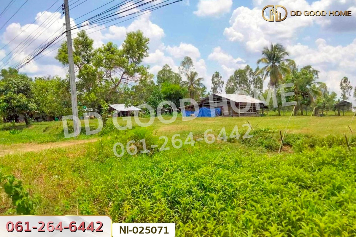 ขายที่ดินบุรีรัมย์ : NI-025071 ที่ดินบ้านกรวด 7 ไร่ 86.4 ตร.ว. บุรีรัมย์ ใกล้โรงพยาบาลบ้านกรวด