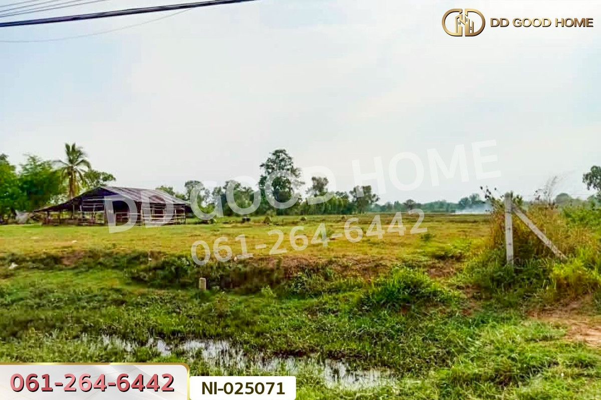 ขายที่ดินบุรีรัมย์ : NI-025071 ที่ดินบ้านกรวด 7 ไร่ 86.4 ตร.ว. บุรีรัมย์ ใกล้โรงพยาบาลบ้านกรวด