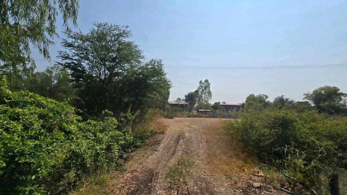 ขายที่ดินลพบุรี : ขายที่ดินเปล่า 19-1-35ไร่ ต.บางลี่ อ.ท่าวุ้ง จ.ลพบุรี