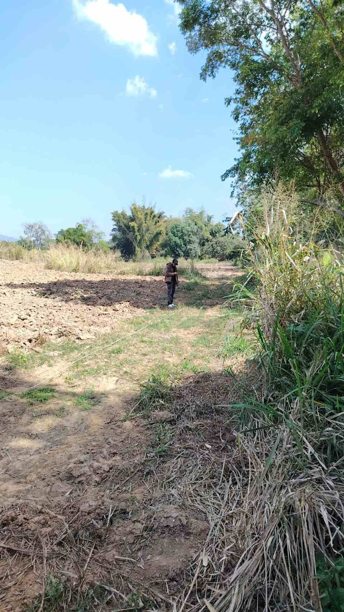 ขายที่ดินเลย : ขายที่ดินเปล่า12 ไร่ ทำเลสวย อากาศดี อำเภอภูเรือ จังหวัดเลย