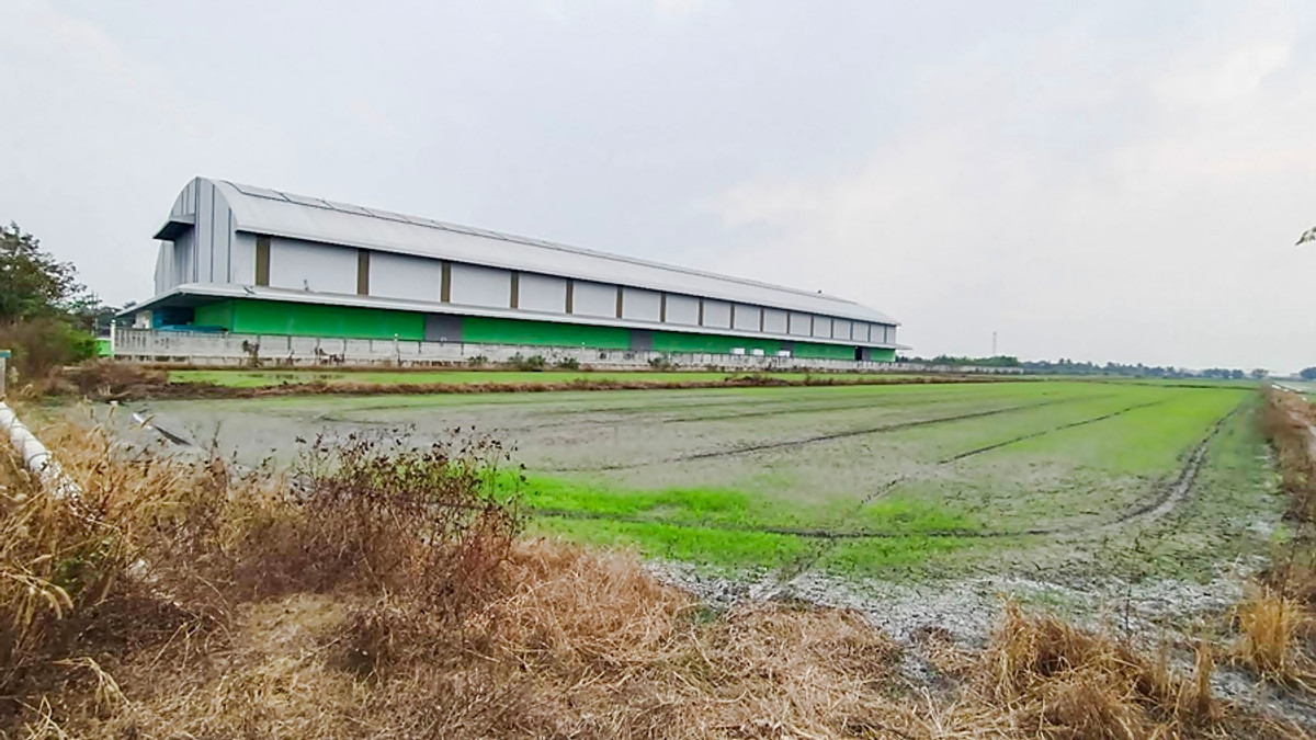 ขายที่ดินนนทบุรี บางใหญ่ บางบัวทอง : ที่ดิน 40 ไร่ สำหรับทำโครงการบ้าน ไทรน้อย ใกล้ๆ โครงการเดอะโมดิซ