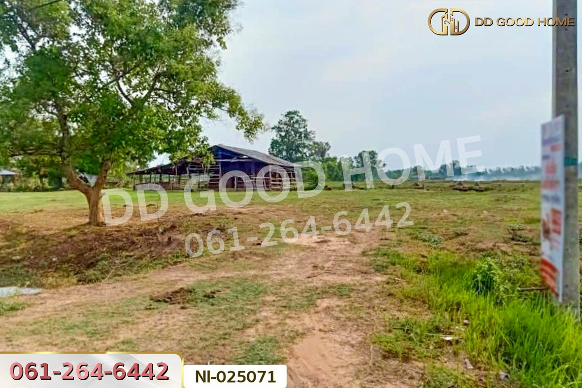 ขายที่ดินบุรีรัมย์ : NI-025071 ที่ดินบ้านกรวด 7 ไร่ 86.4 ตร.ว. บุรีรัมย์ ใกล้โรงพยาบาลบ้านกรวด