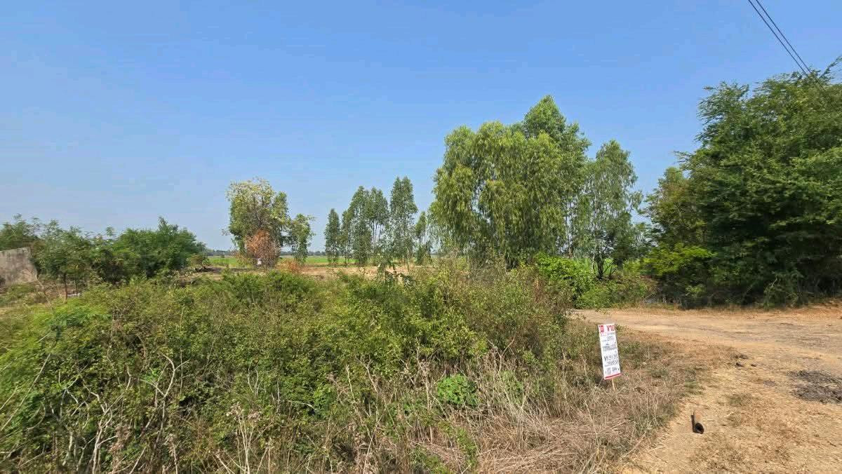 ขายที่ดินลพบุรี : ขายที่ดินเปล่า 19-1-35ไร่ ต.บางลี่ อ.ท่าวุ้ง จ.ลพบุรี