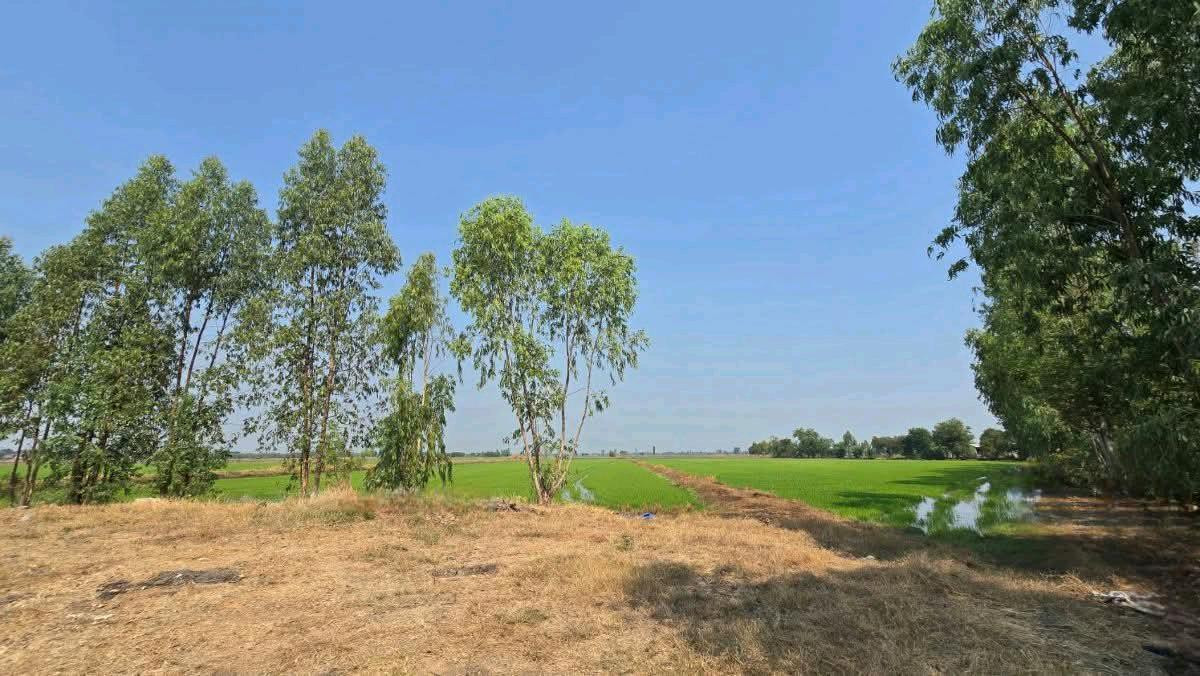 ขายที่ดินลพบุรี : ขายที่ดินเปล่า 19-1-35ไร่ ต.บางลี่ อ.ท่าวุ้ง จ.ลพบุรี