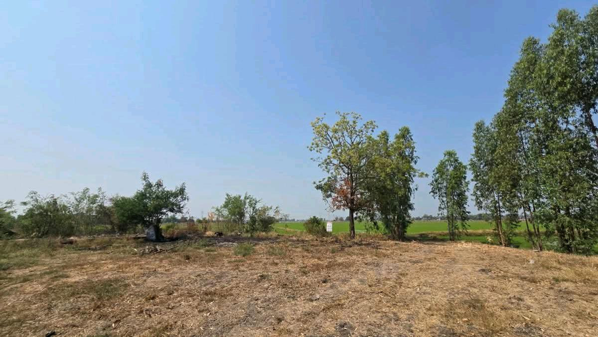 ขายที่ดินลพบุรี : ขายที่ดินเปล่า 19-1-35ไร่ ต.บางลี่ อ.ท่าวุ้ง จ.ลพบุรี