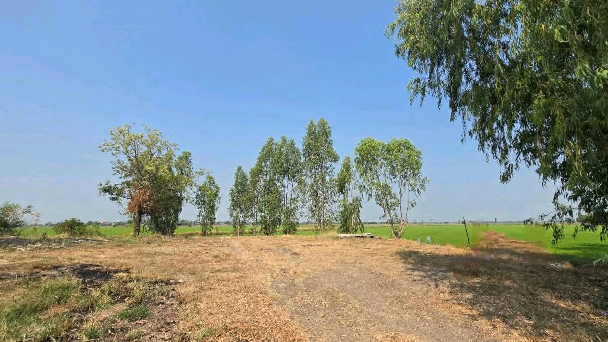 ขายที่ดินลพบุรี : ขายที่ดินเปล่า 19-1-35ไร่ ต.บางลี่ อ.ท่าวุ้ง จ.ลพบุรี