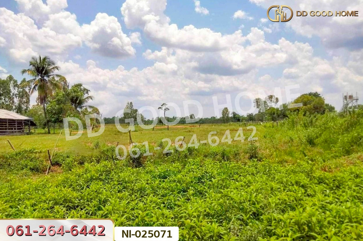 ขายที่ดินบุรีรัมย์ : NI-025071 ที่ดินบ้านกรวด 7 ไร่ 86.4 ตร.ว. บุรีรัมย์ ใกล้โรงพยาบาลบ้านกรวด