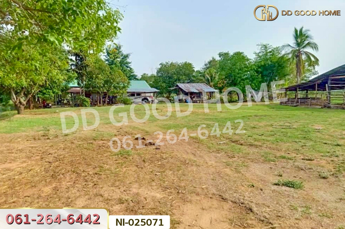 ขายที่ดินบุรีรัมย์ : NI-025071 ที่ดินบ้านกรวด 7 ไร่ 86.4 ตร.ว. บุรีรัมย์ ใกล้โรงพยาบาลบ้านกรวด