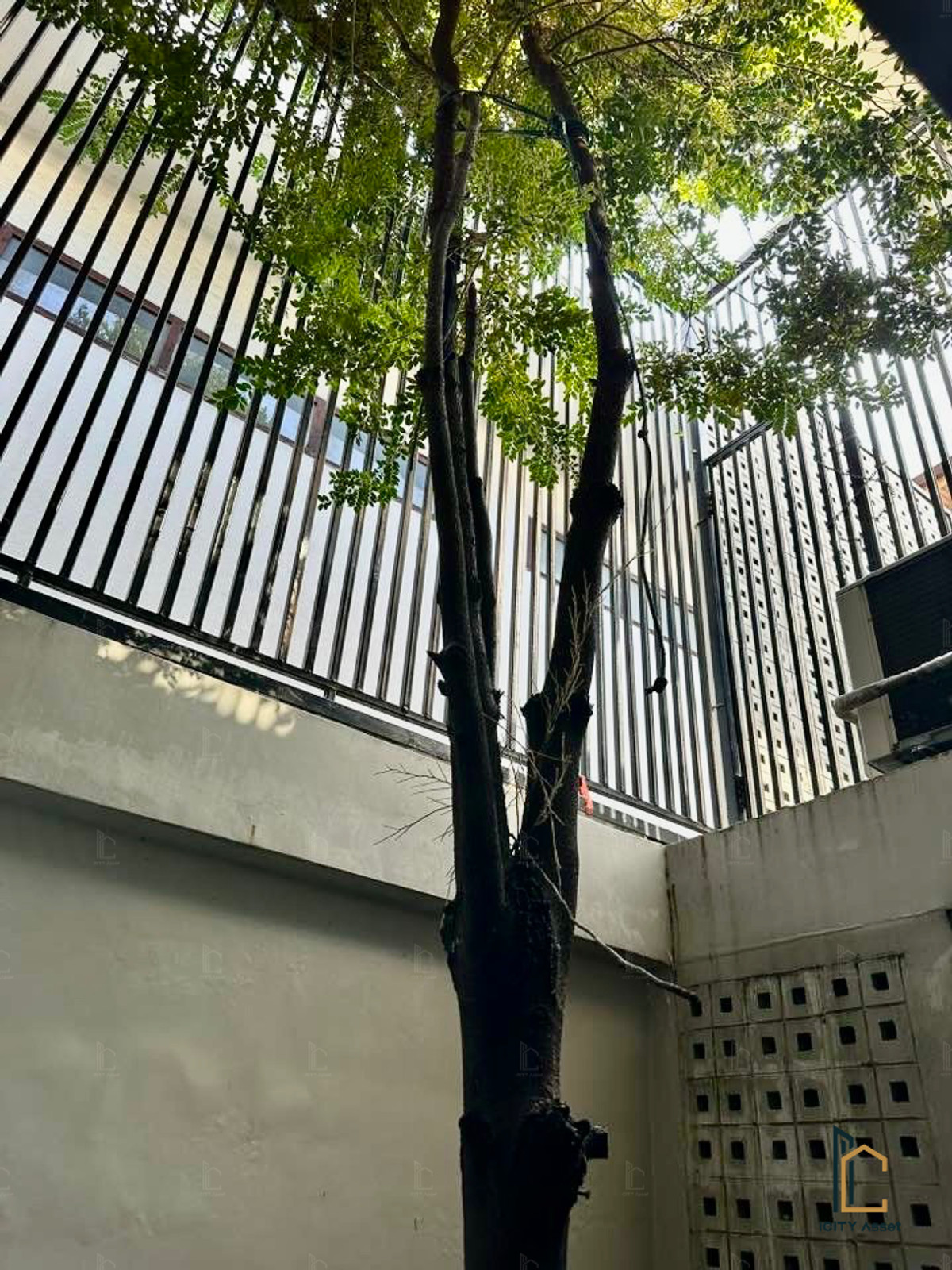 ขายบ้านรัชดา ห้วยขวาง : ✨Rare!! Home office - สุทธิสาร✨ 4b2b 19mb - Home Office - Sutthisan 📞Call 090 919 9898