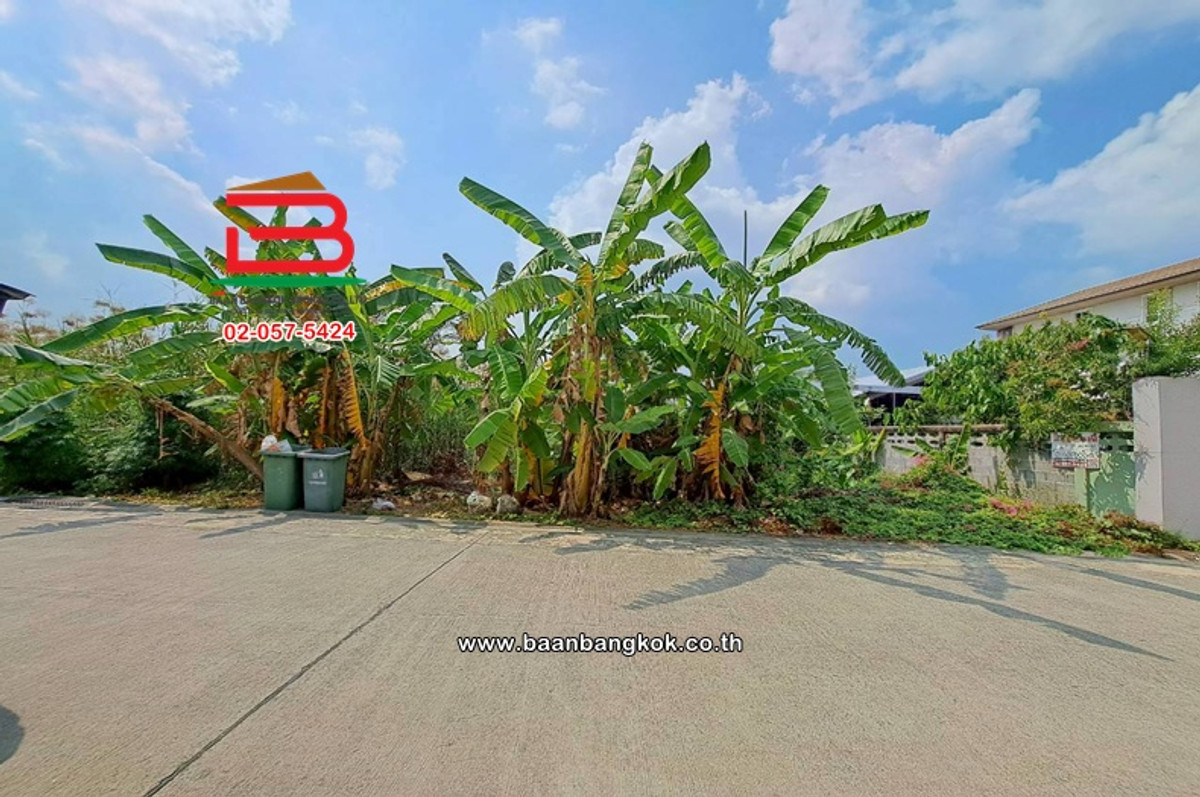 ขายที่ดินปิ่นเกล้า จรัญสนิทวงศ์ : ที่ดินเปล่า เนื้อที่ 210 ตร.ว. หมู่บ้านเปรมวดี (พุทธมณฑลสาย 3 ซอย 19) ถนนพุทธมณฑลสาย 3 แขวงบางระมาด เขตตลิ่งชัน