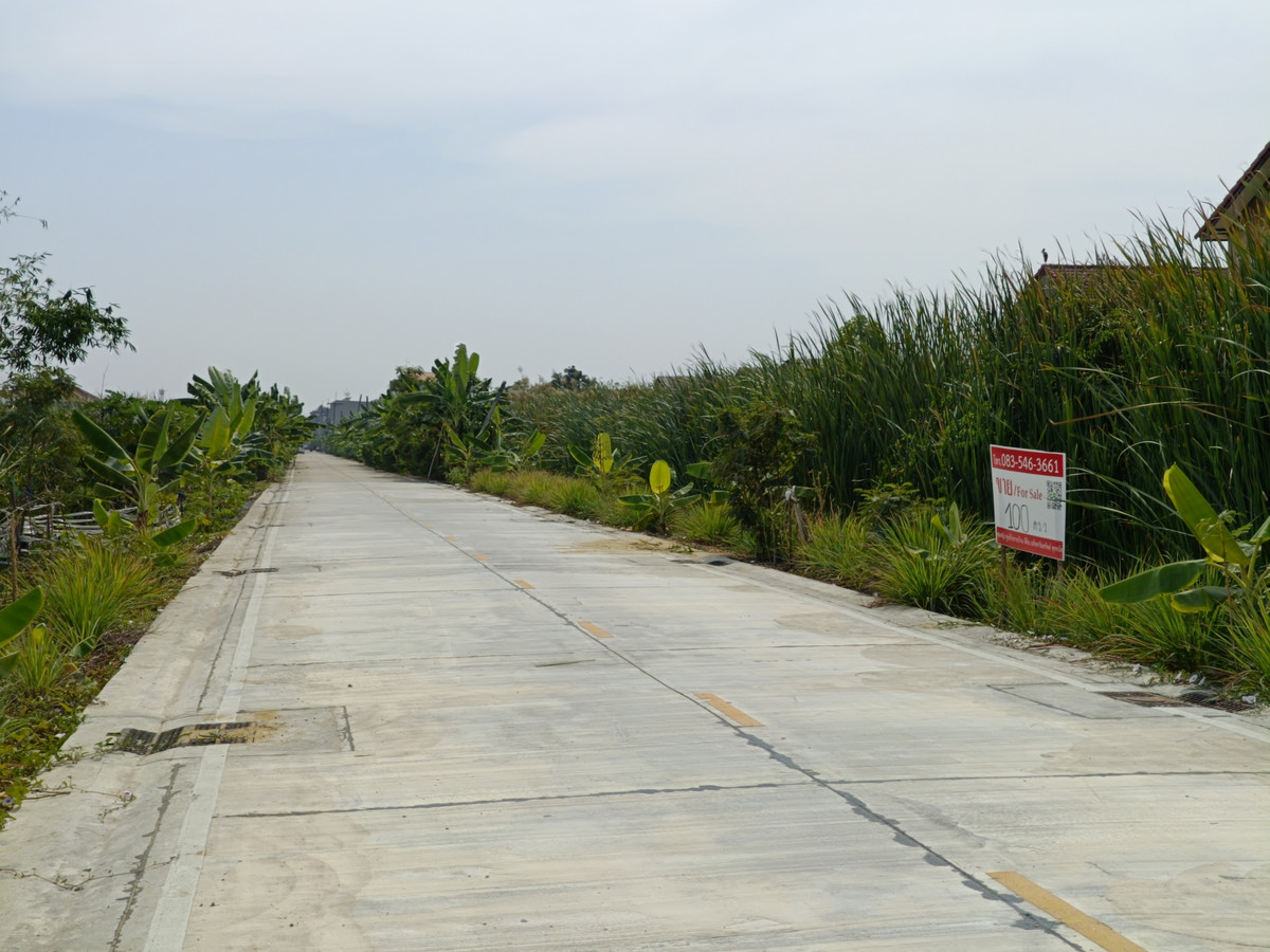 ขายที่ดินปทุมธานี รังสิต ธรรมศาสตร์ : ขายที่ดิน 1งาน ซอยรังสิต-นครนายก 57 ธัญบุรี คลอง 2 ซอยข้างร้านเป๋าตุงกุ้งเผา