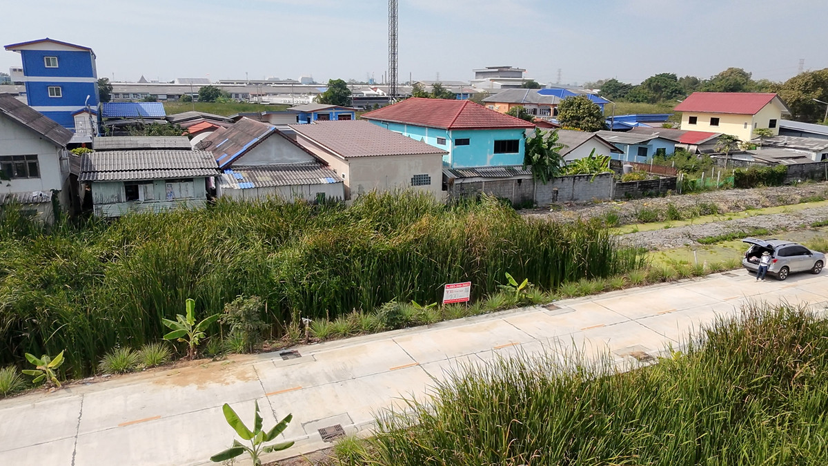 ขายที่ดินปทุมธานี รังสิต ธรรมศาสตร์ : ขายที่ดิน 1งาน ซอยรังสิต-นครนายก 57 ธัญบุรี คลอง 2 ซอยข้างร้านเป๋าตุงกุ้งเผา