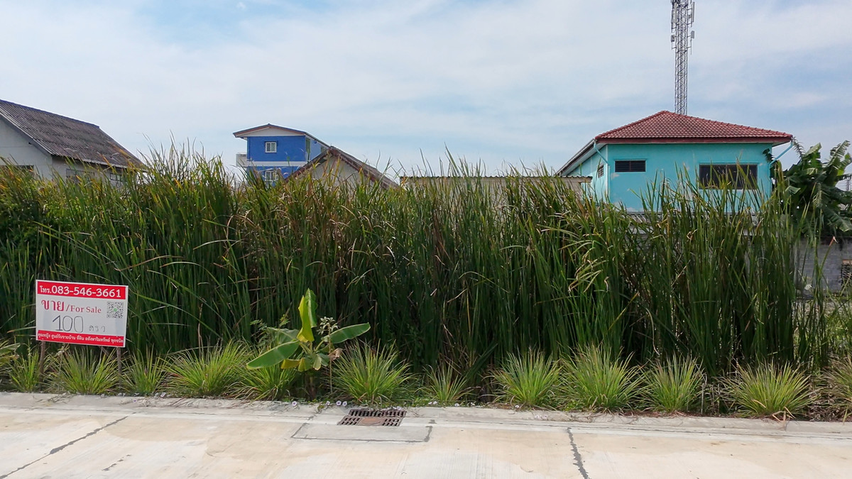 ขายที่ดินปทุมธานี รังสิต ธรรมศาสตร์ : ขายที่ดิน 1งาน ซอยรังสิต-นครนายก 57 ธัญบุรี คลอง 2 ซอยข้างร้านเป๋าตุงกุ้งเผา