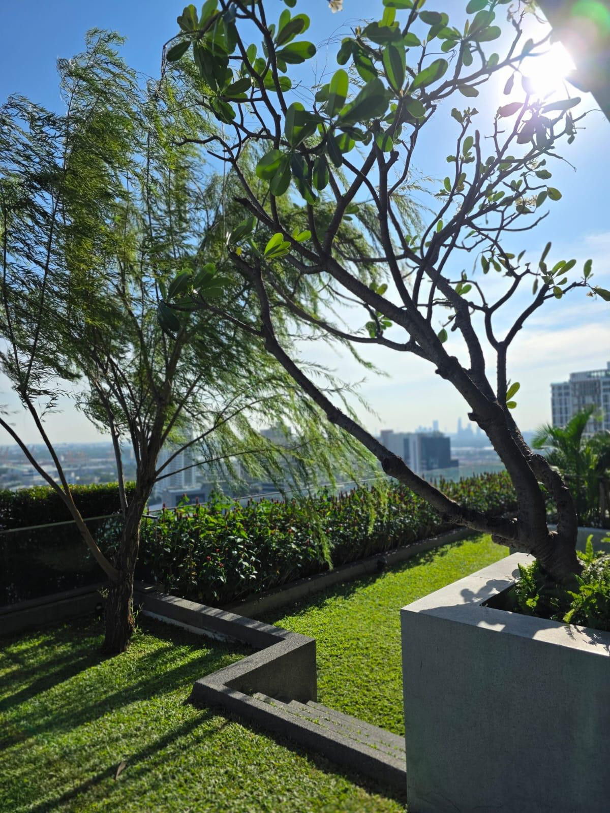 ให้เช่าคอนโดสุขุมวิท อโศก ทองหล่อ : 🔥ให้เช่าด่วน🔥The Lofts Ekkamai ห้อง Duplex รีโนเวทใหม่ ห้องสวย เฟอร์นิเจอร์ - เครื่องใช้ไฟฟ้าครบ พร้อมเข้าอยู่ ❗