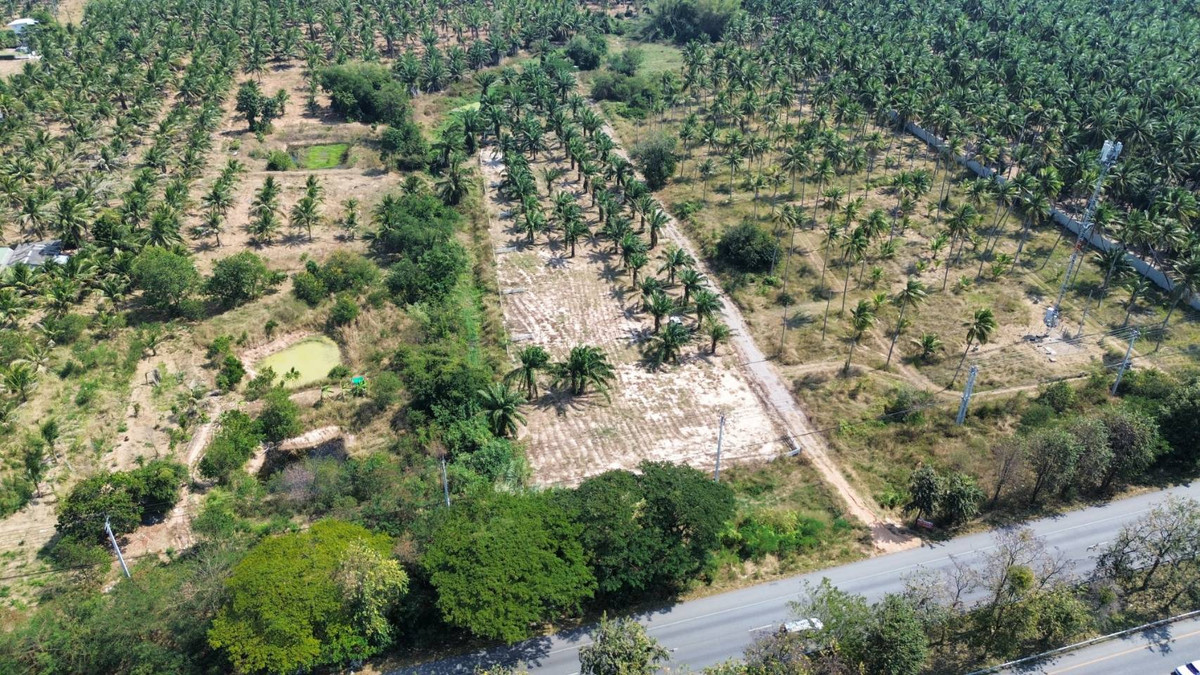 For SaleLandHuahin, Prachuap Khiri Khan, Pran Buri : Land for sale in Thap Sakae Land, 5-3-96 rai, next to Asia Road, prime location, price for investors. Phetkasem, Long Tai leg Prachuap Khiri Khan