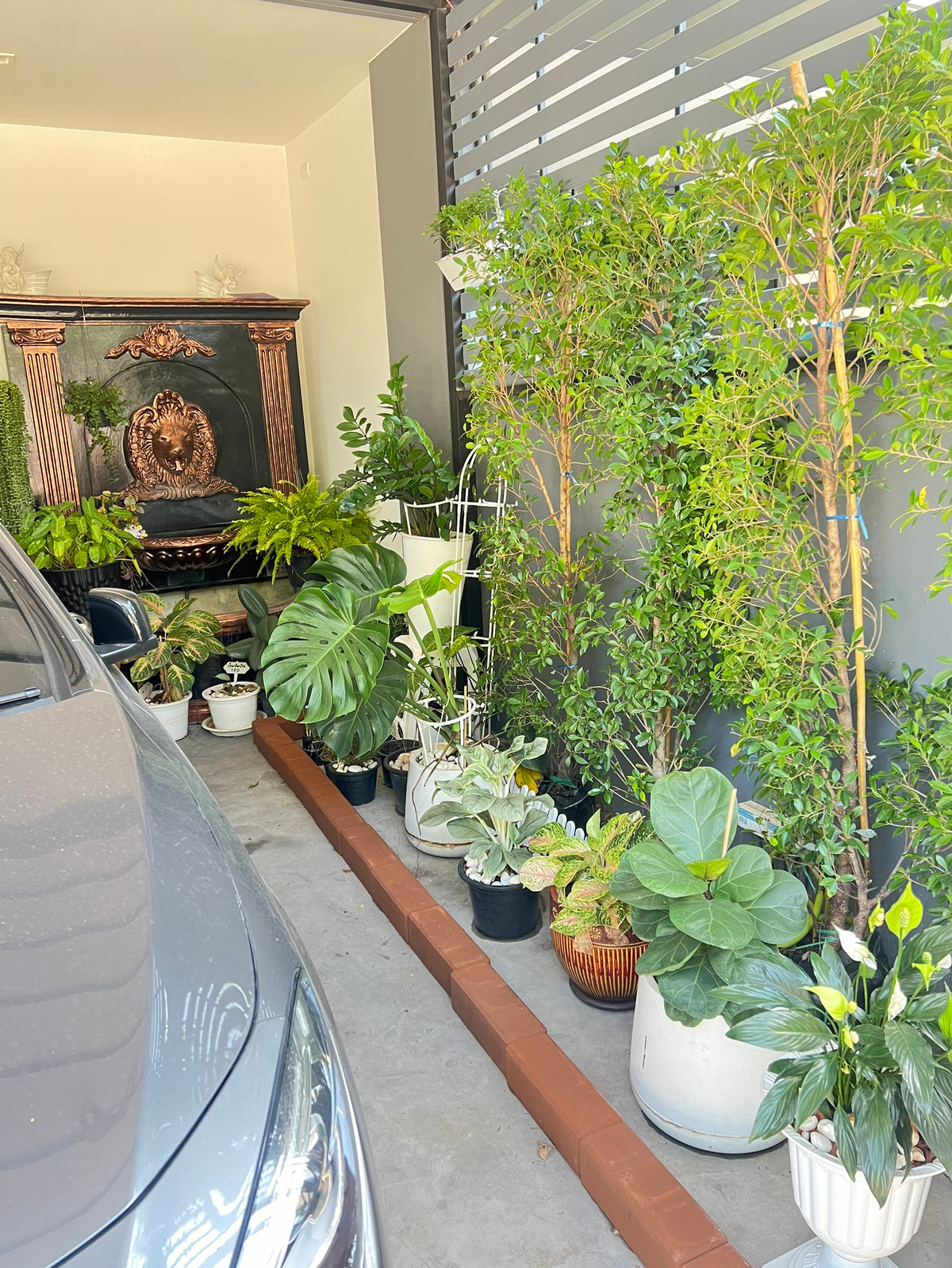 โฮมออฟฟิศเกษตร นวมินทร์ ลาดปลาเค้า : ขาย 12ล้าน เช่า 55,000บาท