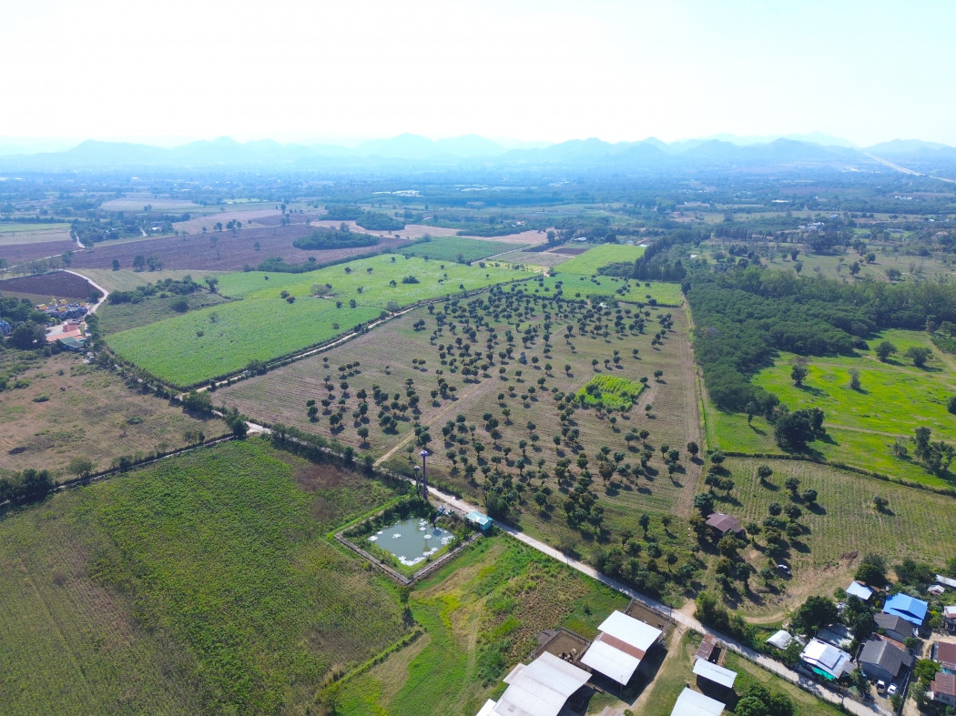 For SaleLandPak Chong KhaoYai : Land for sale in Khao Yai, Khanong Phra Subdistrict, Pak Chong District, 86 rai, sees a beautiful mountain range, near the airplane cafe, less than 1 km from the main road, very special price.