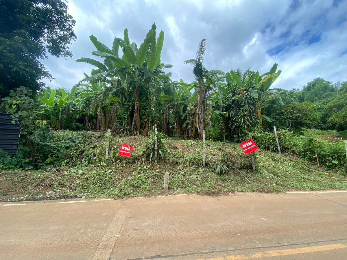 For SaleLandChiang Mai : Land for Sale in Mae Rim, Near Prem International School