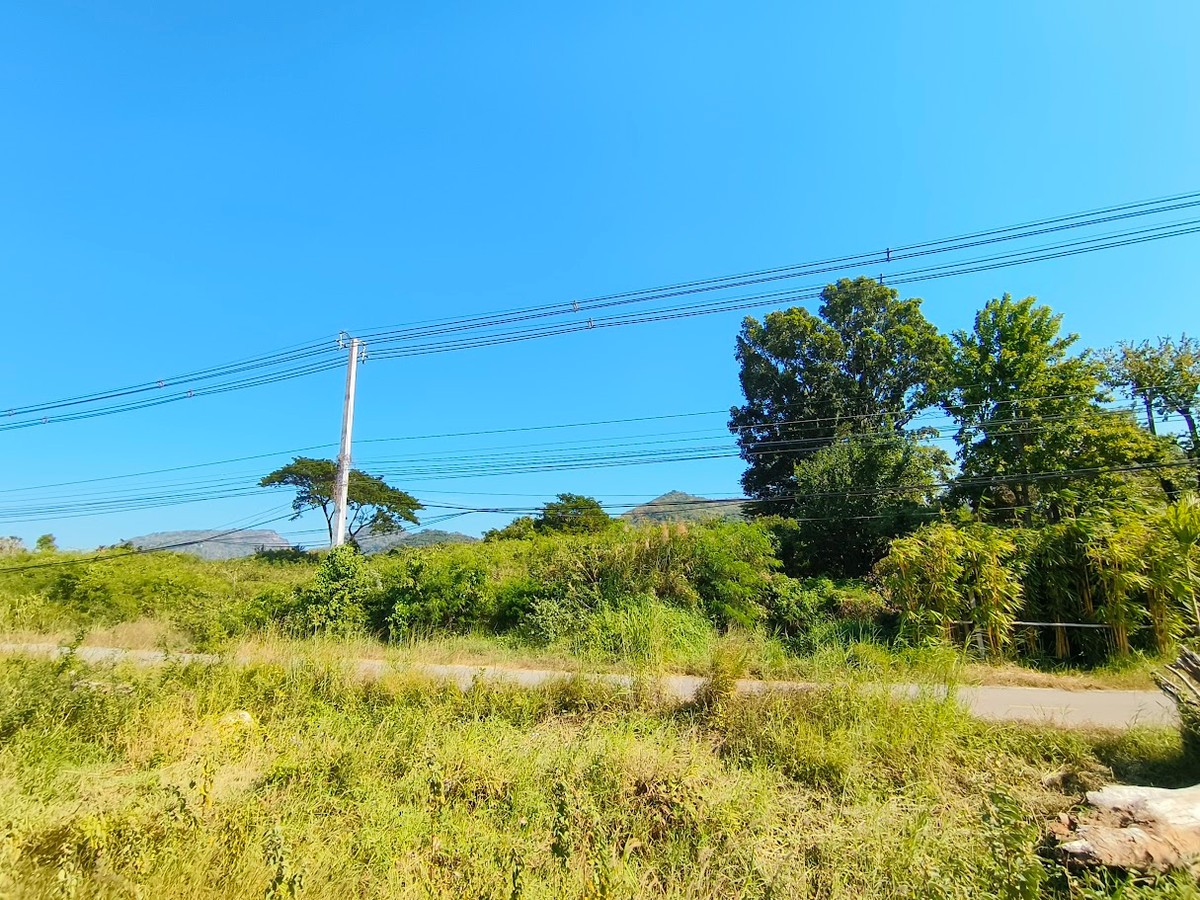 ขายที่ดินหัวหิน ประจวบคีรีขันธ์ : ที่ดินติดถนนเพชรเกษม แยกเขาเต่า-หนองหอย