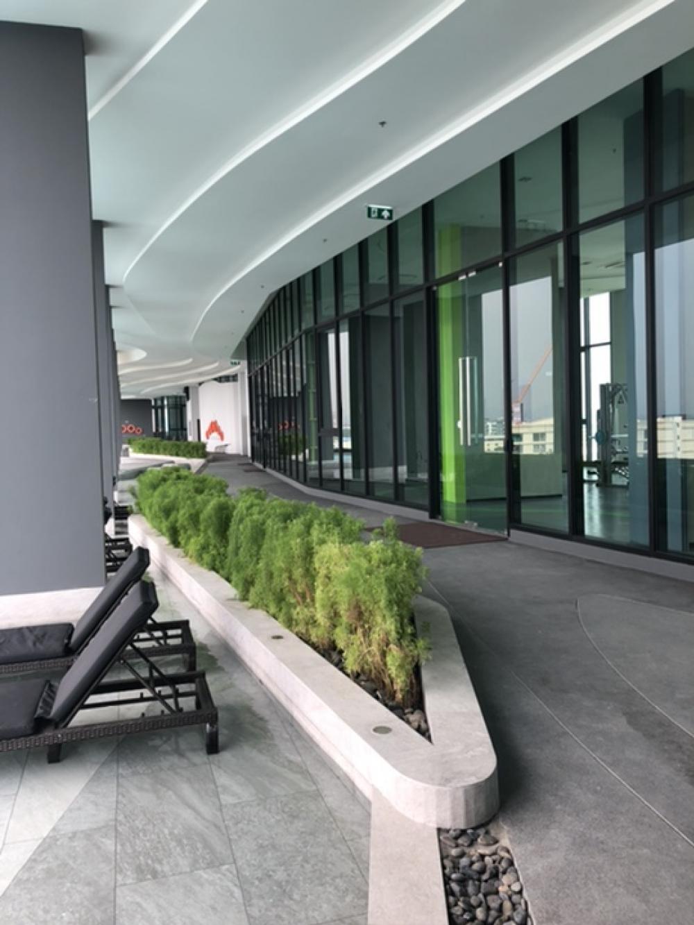 ให้เช่าคอนโดบางนา แบริ่ง ลาซาล : FOR RENT Condo Niche Mono Sukhumvit Bearing Close BTS Bearing 250 meter ให้เช่าคอนโดนิชโมโน สุขุมวิท แบริ่งใกล้บีทีเอสแบริ่ง 250 เมตรTHB 11,900New Room All new furniture Fully furnished and electric appliances Ready to move in Size 31 Sq.m 32 th Floor 1 B