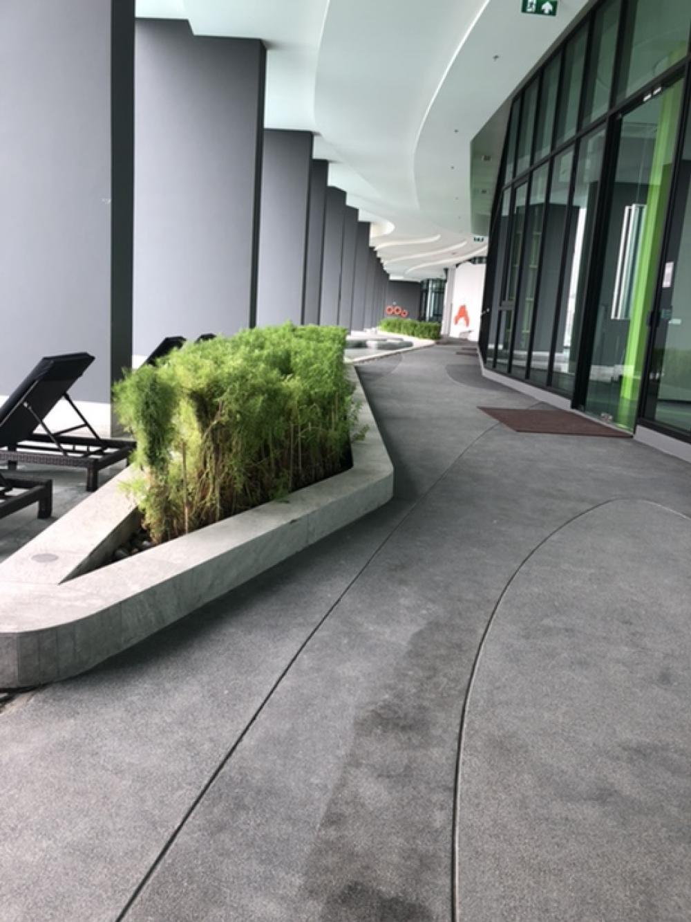 ให้เช่าคอนโดบางนา แบริ่ง ลาซาล : FOR RENT Condo Niche Mono Sukhumvit Bearing Close BTS Bearing 250 meter ให้เช่าคอนโดนิชโมโน สุขุมวิท แบริ่งใกล้บีทีเอสแบริ่ง 250 เมตรTHB 11,900New Room All new furniture Fully furnished and electric appliances Ready to move in Size 31 Sq.m 32 th Floor 1 B