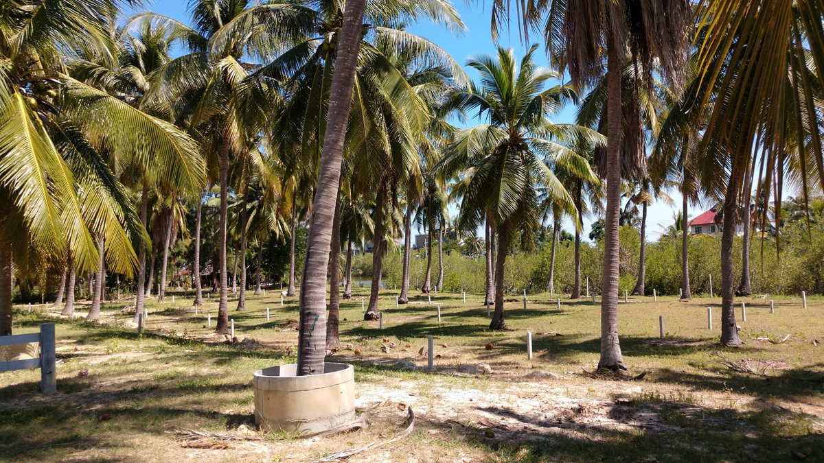 ขายที่ดินหัวหิน ประจวบคีรีขันธ์ : ที่ดินชายทะเล สำหรับบ้านพักตากอากาศ บ่อนอก-กุยบุรี ประจวบคีรีขันธ์