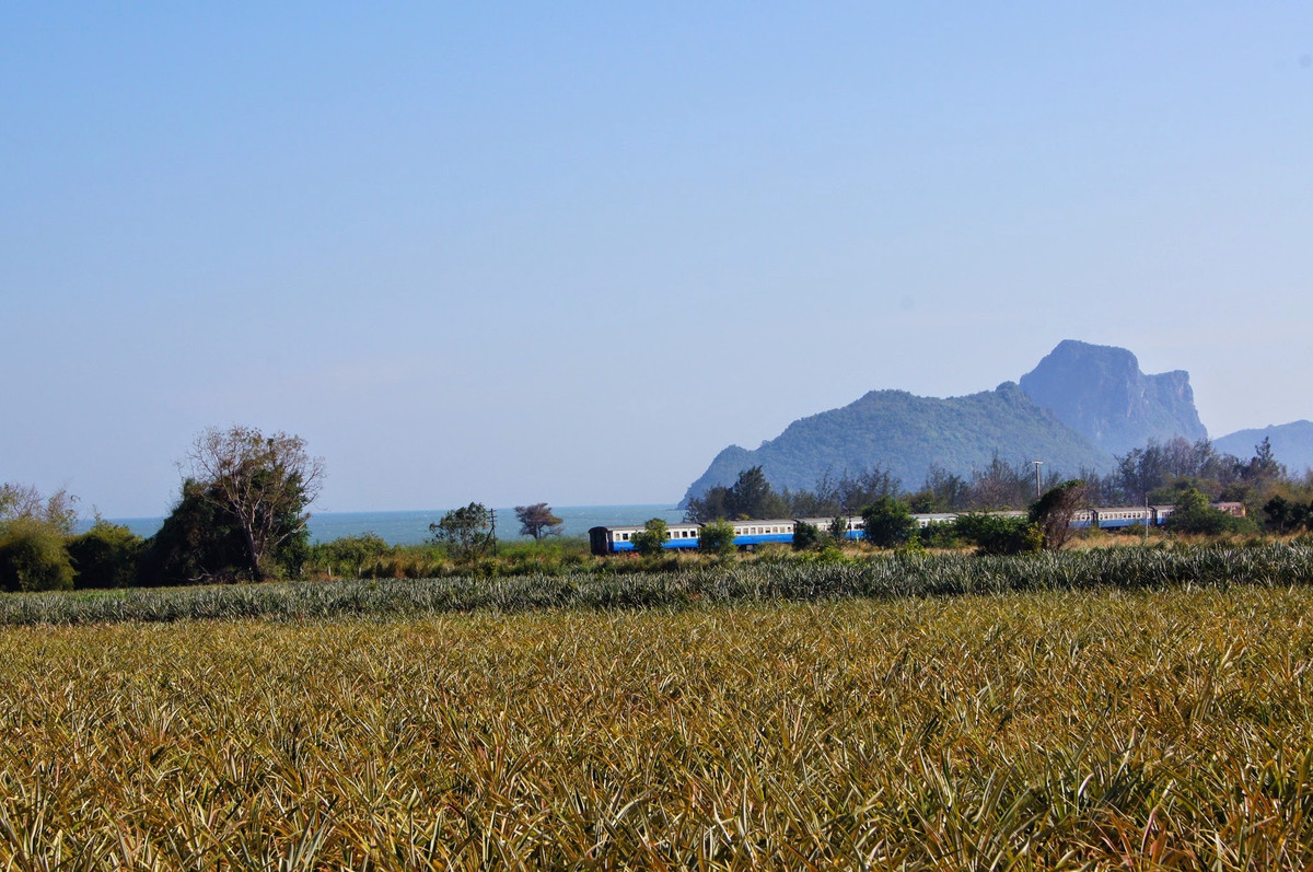 ขายที่ดินหัวหิน ประจวบคีรีขันธ์ : ที่ดินชายทะเล หัวหิน – ประจวบคีรีขันธ์ แปลงใหญ่  สำหรับโครงการที่อยู่อาศัย