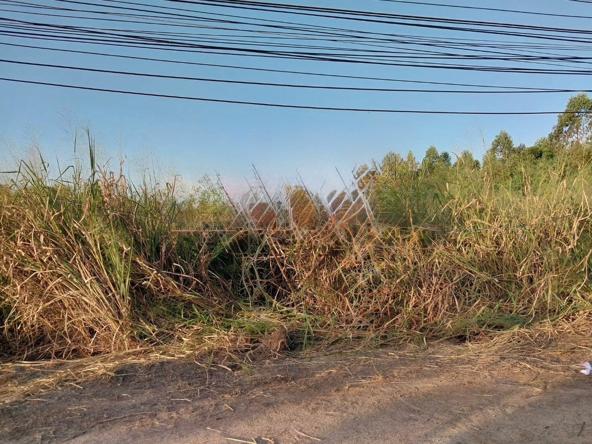 ขายที่ดินฉะเชิงเทรา : ขายที่ดิน ตำบลเขาหินซ้อน อำเภอ พนมสารคาม ฉะเชิงเทรา เส้น 304 ถนนฉะเชิงเทรา-กบินทร์บุรี
